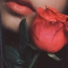 Di Antara Ranum Mawar dan Bibir