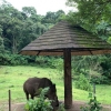 Serunya Berkunjung ke Taman Safari Indonesia II Prigen