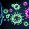 Immunity: Get to Know Your Immune System!