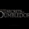 Film "Fantastic Beasts: The Secret of Dumbledore", Kebenaran dalam Mengungkap Sebuah Rahasia