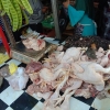 Kenaikan Harga Daging Ayam Membuat Pelaku Usaha UMKM Mengalami Kerugian