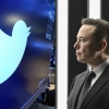 Twitter, Elon Musk, dan Kebebasan Berbicara