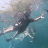 Tiga Alasan untuk Ber-snorkeling Ria di Nusa Penida