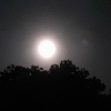 Pantun di Bulan Syawal