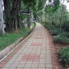 Jalan Sunyi Puasa di Bulan Syawal