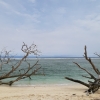 Feature Perjalanan: Sepenggal Cerita di Pantai Tanjung Setia