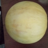Bukan Hanya Manis, Melon Baik untuk Kesehatan