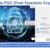 Bagaimana Perusahaan Mengadopsi Solusi Kriptografi Pasca Kuantum (PQC)?