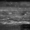Antara Hujan Genangan dan Kesetiaan