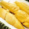 Sejarah, Manfaat, dan Mitos Sang Raja Buah, Durian