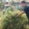 Hari Lahir Pancasila, Warga LDII Banda Aceh Gotong Royong Bersihkan Lingkungan