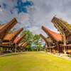 Melihat Uniknya Tradisi Rambu Solo, Upacara Pemakaman di Tana Toraja
