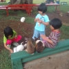 Mengunjungi Taman Kelinci Bersama Anak-Anak