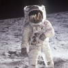 Bukan Manusia, 6 Hewan Ini yang Pertama Kali Jadi Astronot