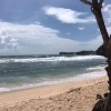 Wisata Hidden Gem Yogyakarta, Keindahan Pantai Watu Kodok yang Tersembunyi