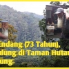 Pak Endang (73 Tahun), Pemulung di Taman Hutan Raya Bandung