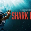 Film Shark Bait (Review)