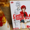 "Cells at Work!", Belajar Bisa Dibuat Menyenangkan