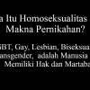 Apa Itu Homoseksualitas, dan Makna Pernikahan? (1)