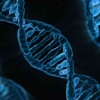 Cek Informasi Kesehatan dan Pola Hidup di DNA