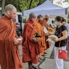 Berpartisipasi dalam Pindapata, Suatu Tradisi Umat Buddha di California
