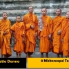 8 Miskonsepsi terhadap Agama Buddha