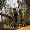 Modernisasi Standar Hidup Petani Hutan: Taraf Ekonomi hingga Gaya Komunikasi