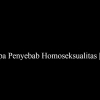 Apa Penyebab Homoseksualitas?(4)