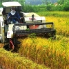 Tradisi Ngasag, Benih Kepedulian Sosial Sektor Pertanian
