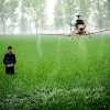 Penggunaan Artificial Intelligence dalam Pengembangan Produk Pertanian demi Ketahanan Pangan ASEAN 
