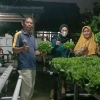 Peluang Bisnis Hidroponik! Mahasiswa KKN FEB Undip Membuat Analisis Bisnis Hidroponik di Kelurahan Salamanmloyo Kota Semarang