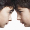Perkelahian Anak-anak (Sibling Conflict) Ditinjau dari Sudut Pandang Psikologis
