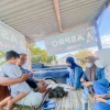 KKN UPI 2022: UMKM Budidaya Rumput laut Gracilaria sp di Desa Tambak Kabupaten Indramayu