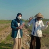 Mahasiswa KKN Undip Ajak Petani di Desa Sriwedari Membuat Pupuk Organik Cair dari Limbah Kulit Bawang Merah