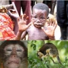 Takut Monkeypox,  Penduduk Brazil Bunuh Monyet