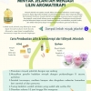Ladang Cuan dari Jelantah! Mahasiswa KKN TIM II Universitas Diponegoro Memanfaatkan Limbah Minyak Jelantah Menjadi Lilin Aromaterapi
