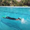Tips Cara Berenang bagi Anak #3 Latihan Ayunan Kaki