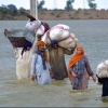 Pelajaran Berharga dari Banjir Besar Pakistan