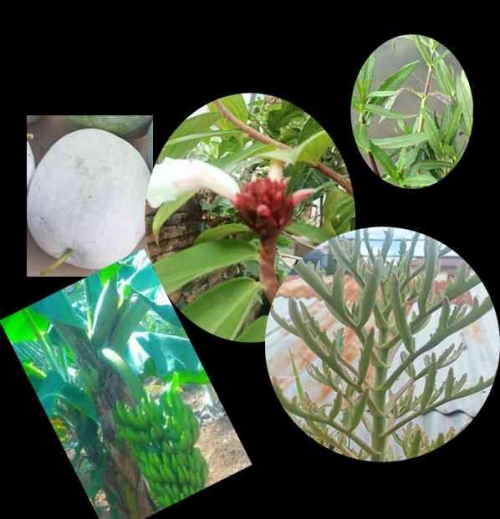 Xizmatkor bilan jinsiy aldash video Sekretsiya bilan toplangan vaginalar toplami