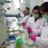 Sudah Saatnya Indonesia Menjadi Produsen Produk Bioteknologi di Negaranya Sendiri