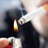 Dampak Kenaikan BBM, Berakibat pada Kenaikan Rokok