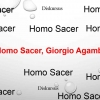 Diskursus Agamben Homo Sacer (1)