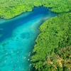Urgensi Menyelamatkan Lingkungan Kepulauan Karimunjawa