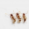 Cerpen: Semut-semut dan Percobaan ke-19
