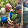 YP dan Kelompok Binaan Tanam 2500 Pohon di Lahan Eks Kebakaran
