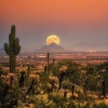 Senja di Negeri Kaktus