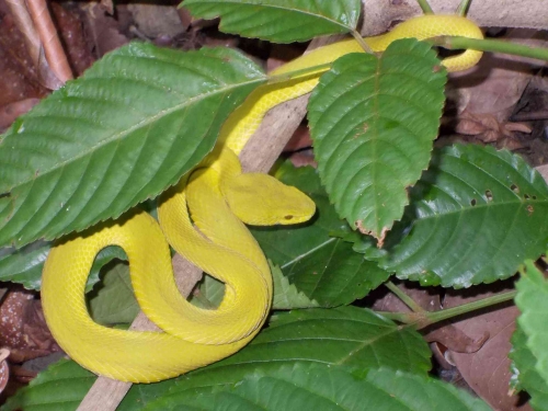 Ular jamoat joylarida ayollarga jinnilik qilishadi Ular jamoat joylarida ayollarga jinnilik qilishadi