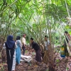 Warga Dusun Mulyoarjo Lebih Memilih Berkebun Salak, Mengapa Demikian?