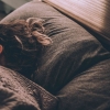 Berapa Lama Waktu Tidur Siang yang Ideal?