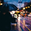Cerpen: Kisah di Antara Halte dan Hujan